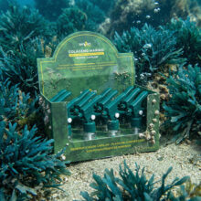 Tratamiento de colágeno marino Seven Coop botox capilar